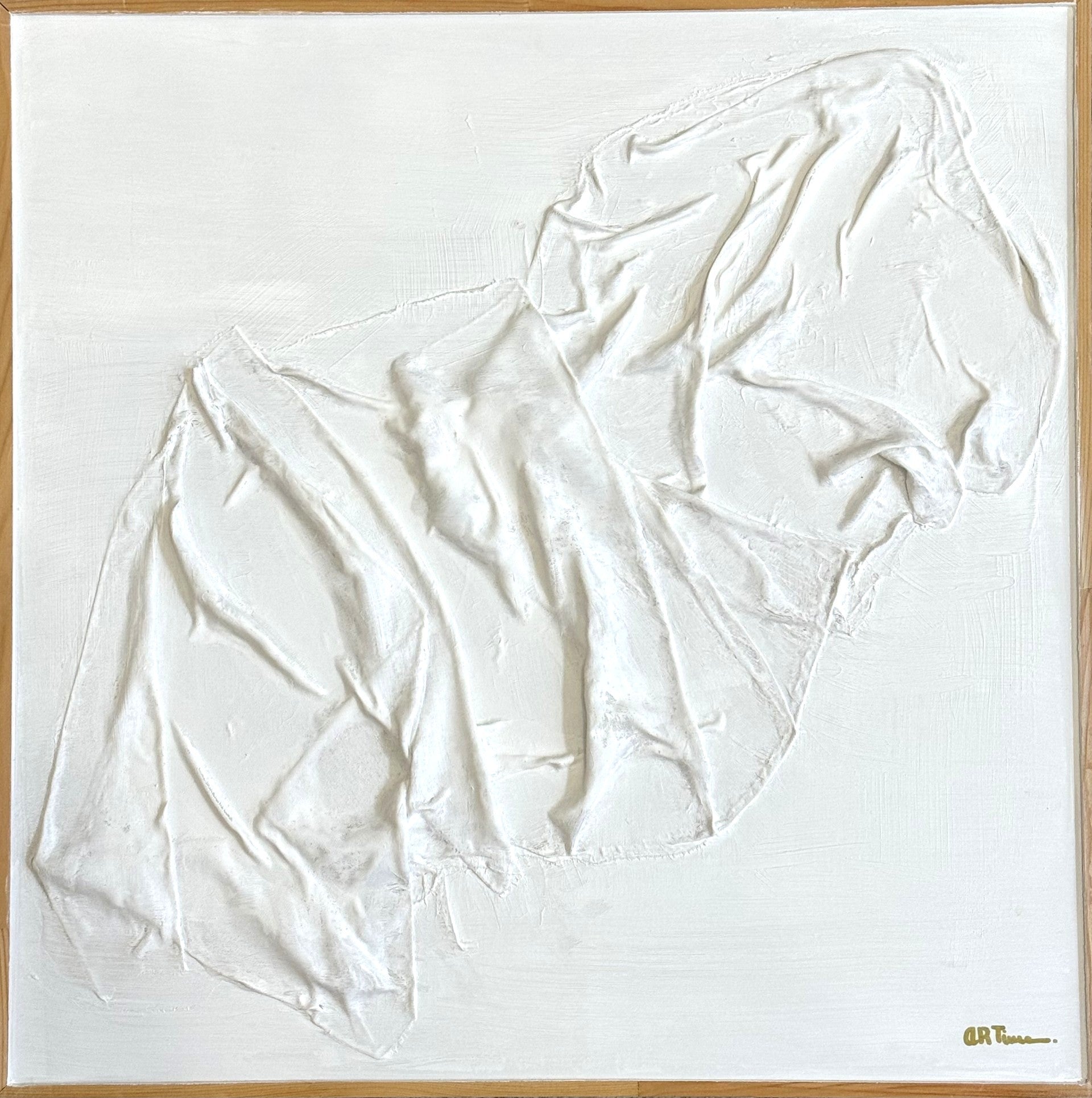 Serie Escuchando Paisajes. 50x50 cm